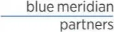 Blue Meridian Partners